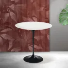 Stolik kawowy Saarinen Tulip, wys. 52 cm, matowa biel, ceramika Florim, szkarłat Viadurini