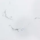 Stół Rozkładany do Jadalni 240 cm Szklano-Ceramiczny Blat - Barone Viadurini