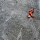 Nowoczesny okrągły stół do jadalni z efektem ceramicznego marmuru i metalu - Jarvis Viadurini