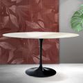 Owalny stół Tulip Saarinen H 74 cm z ceramiki Florim Calacatta Gold Matt - Scarlet