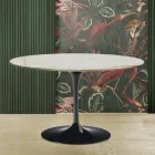 Eero Saarinen H 73 Stół Tulipan z marmuru Gold Caracatta Made in Italy Viadurini