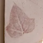 Lampa ścienna z terakoty Vivaldi Toscot wykonana we Włoszech Viadurini