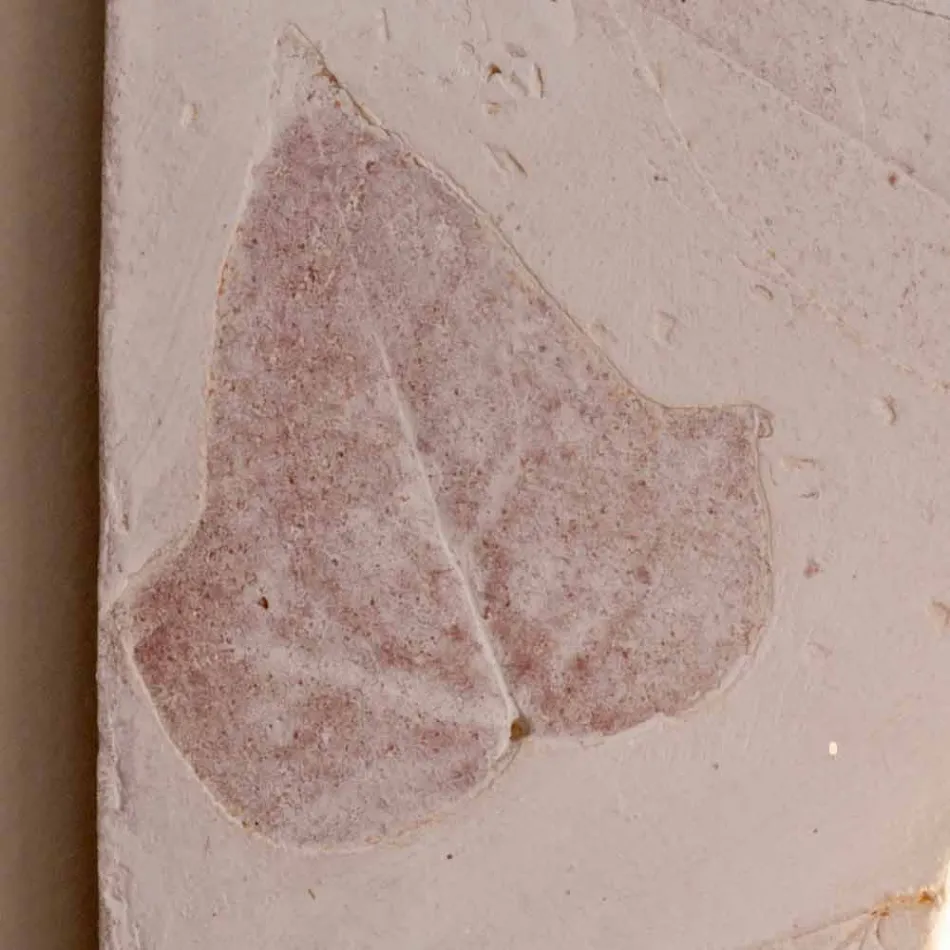 Lampa ścienna z terakoty Vivaldi Toscot wykonana we Włoszech Viadurini