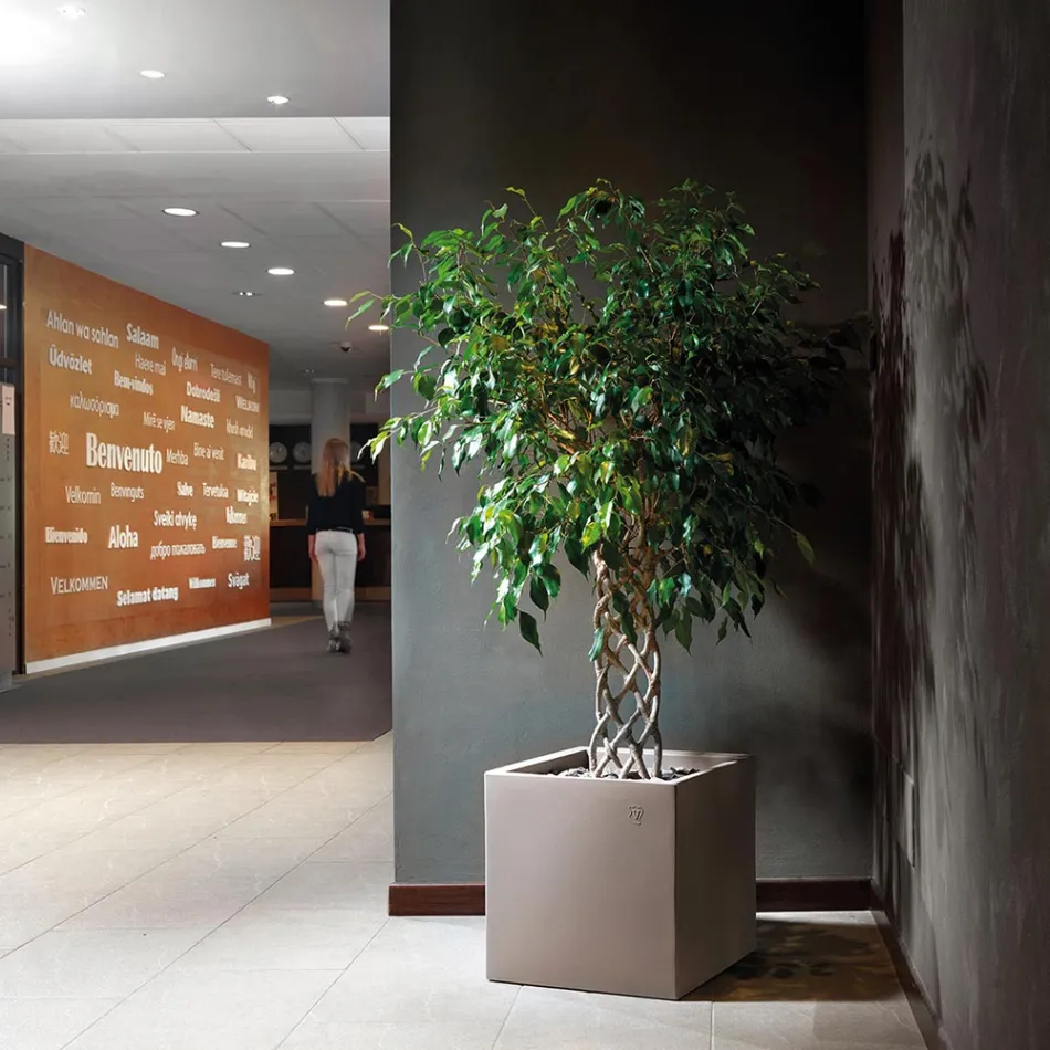 Wazon w kolorowym kształcie sześciennego polietylenu Made in Italy - Tonello Viadurini