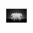 Ozdobny wazon do wnętrz z białej ceramiki lub 24-karatowego złota Made in Italy - Jacky Viadurini