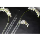 Przezroczysty wazon z pleksiglasu Made in Italy - Fortunato Viadurini